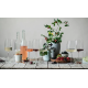 Келих Schott Zwiesel Light & Fresh Sparkling Wine 0,388 л 122430