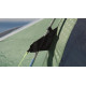 Намет Outwell Collingwood 6 Green (111065)