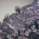 Мікроскоп Bresser Erudit ICD 20x-40x