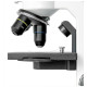 Микроскоп Bresser BioDiscover 20x-1280x