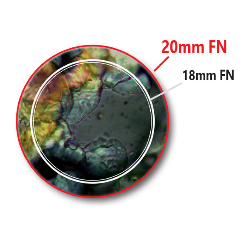 Мікроскоп Optika B-383Ph 40x-1000x Trino Phase Contrast