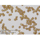 Мікроскоп Bresser Trino Researcher 40x-1000x