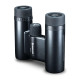 Бінокль Vanguard Vesta Compact 10x21 WP Black Pearl (Vesta 1021 ВР)
