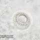 Мікроскоп Bresser Science Infinity 40x-1000x