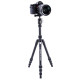 Штатив Vanguard Vesta TB 204ABS (Vesta TB 204ABS)