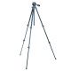 Штатив Vanguard Vesta 203AP (Vesta 203AP)