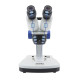Мікроскоп Optika Stereomicroscope with fixed arm 20x-40x (SFX-51)