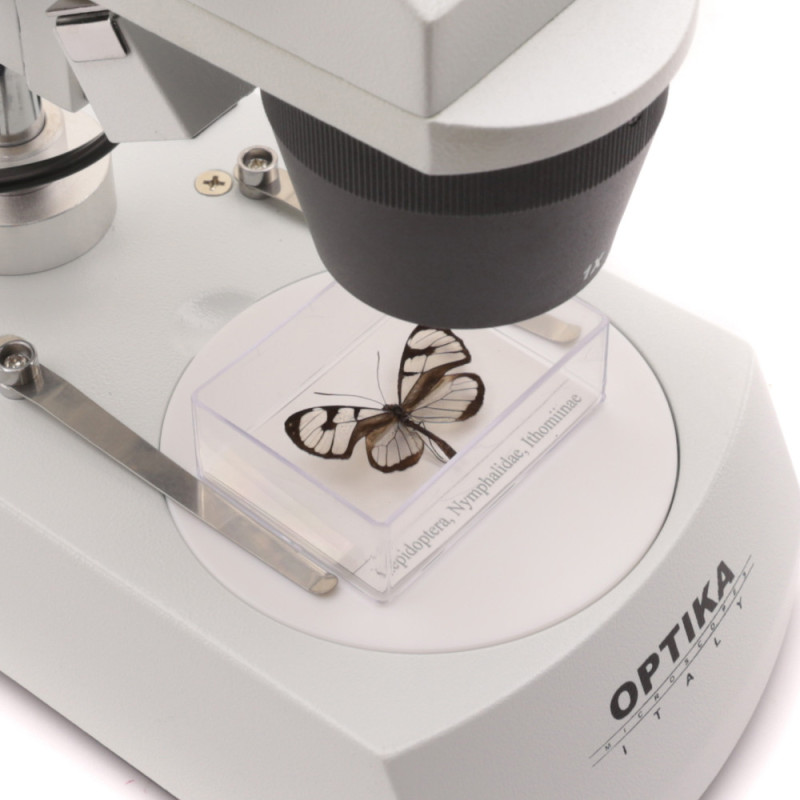 Мікроскоп Optika Stereomicroscope with fixed arm 20x-40x (SFX-51)