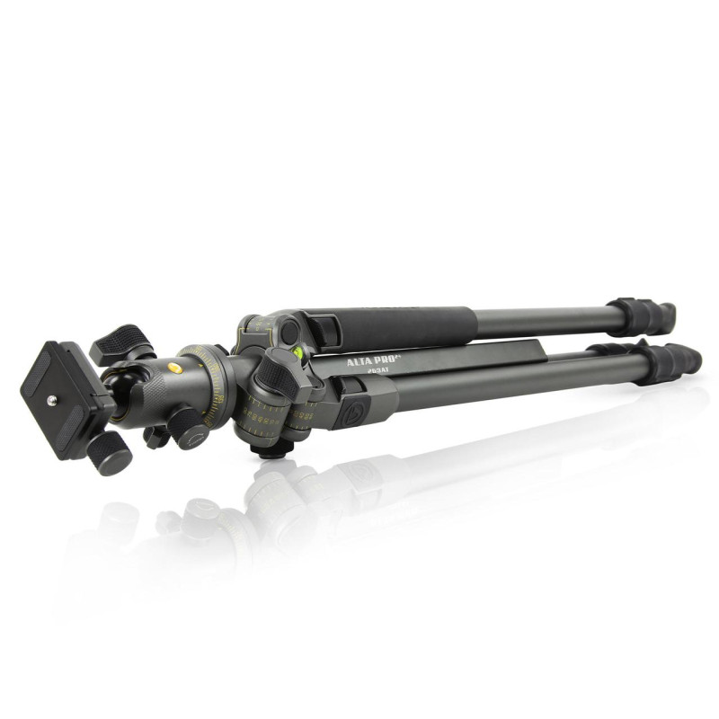 Штатив Vanguard Alta Pro 2+ 263AB 100 (Alta Pro 2+ 263AB 100)