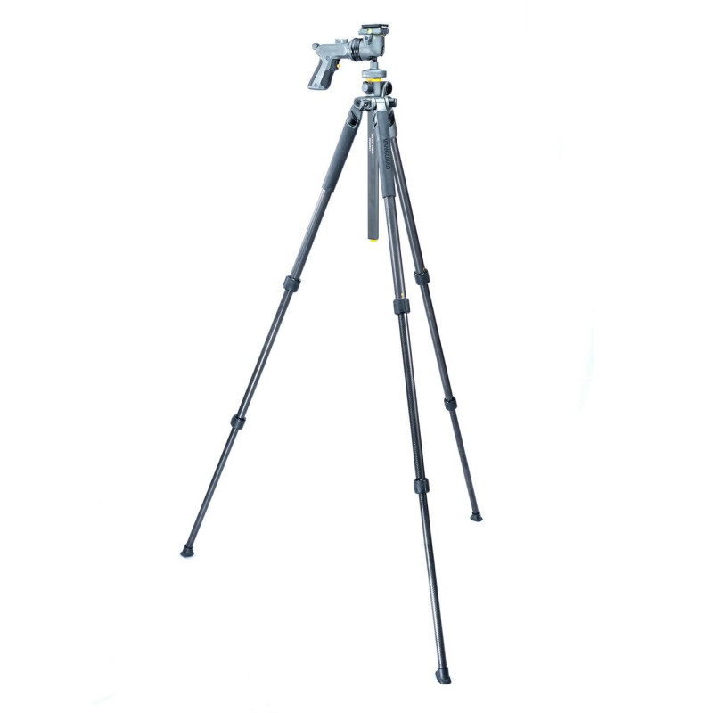 Штатив Vanguard Alta Pro 2+ 263CGHT (Alta Pro 2+ 263CGHT)