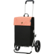 Сумка-візок Andersen Royal Shopper Vide Apricot (166-188-30)