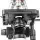 Мікроскоп SIGETA MB-104 40x-1600x LED Mono