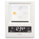 Метеостанция Technoline WS6620 White (WS6620)