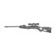 Пневматична гвинтівка Gamo Swarm Fox 10x Gen1 (4.5мм)