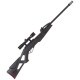 Пневматична гвинтівка Gamo Swarm Fox 10x Gen1 (4.5мм)