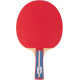 Ракетка для настольного тенниса Gewo Standard Pro FL (600300001)