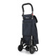 Сумка-візок Rolser I-Bag MF 4.2 Tour Plus Marengo (IBG002-1031)