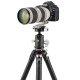 Штатив Vanguard VEO 5 304AB-250S (VEO 5 304AB-250S)