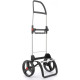Сумка-тележка Rolser Eco Pep 2 LRSG (PEP025-1041)