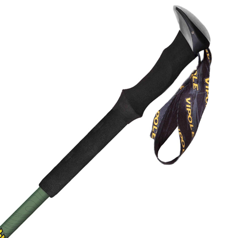Палки треккинговые Vipole Base Camp Green DLX (S25 07)