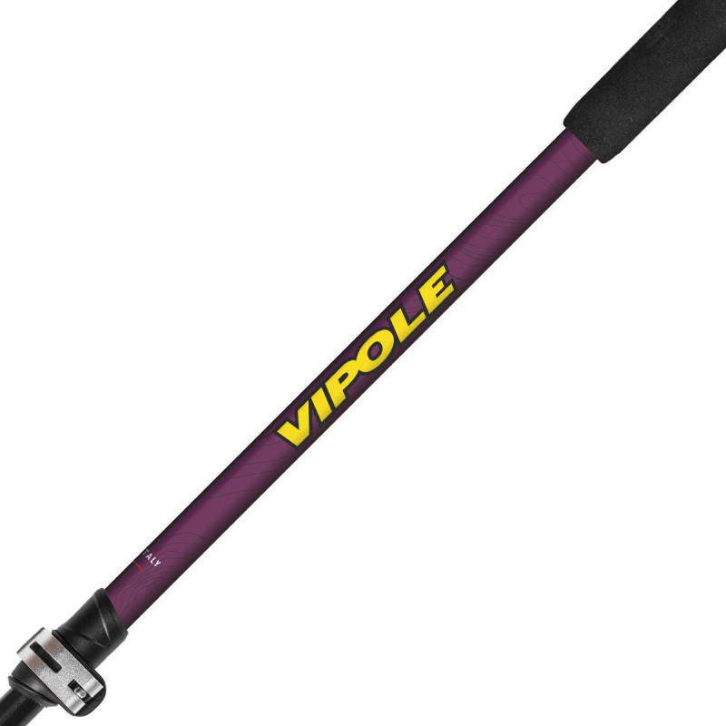 Палки треккинговые Vipole Base Camp Violet DLX (S25 08)