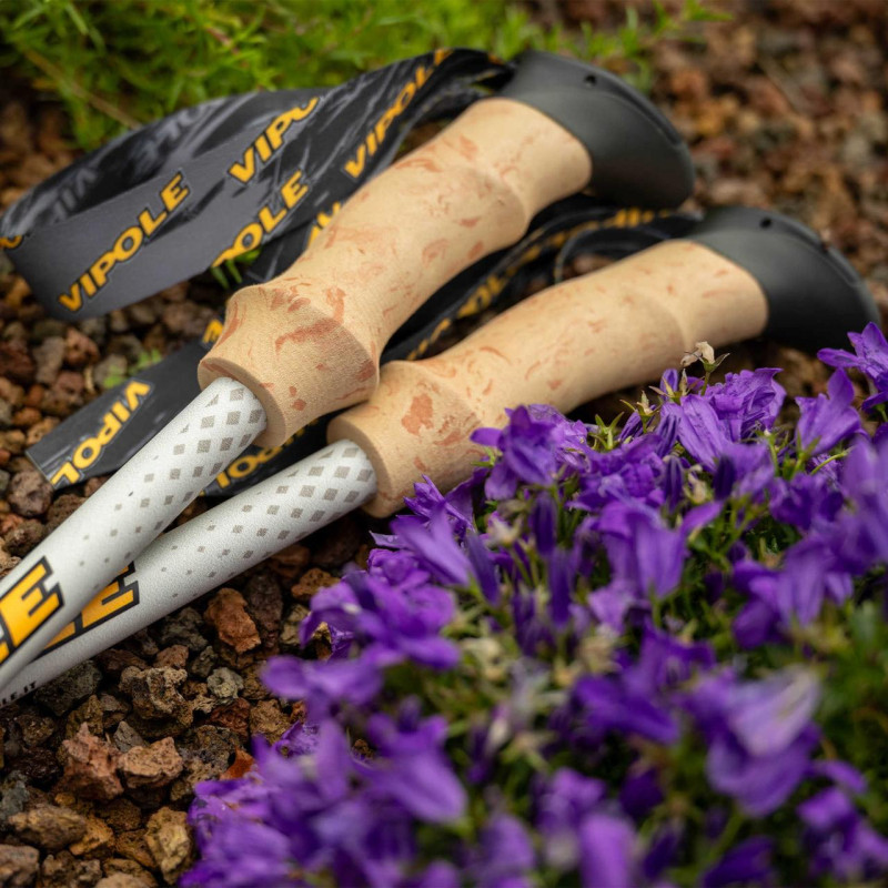 Палки треккинговые Vipole Trango Cork (S25 14)