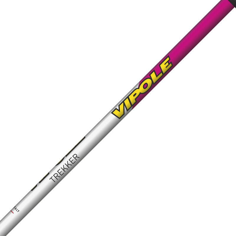 Палки треккинговые Vipole Trekker Violet (S25 11)