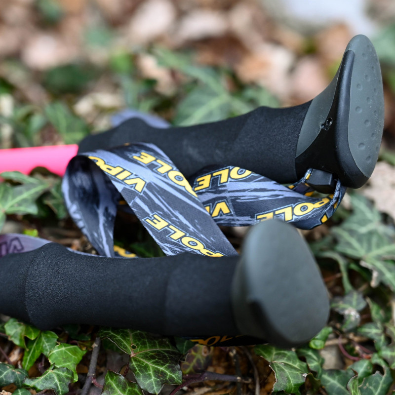 Палки треккинговые Vipole Trekker Violet (S25 11)