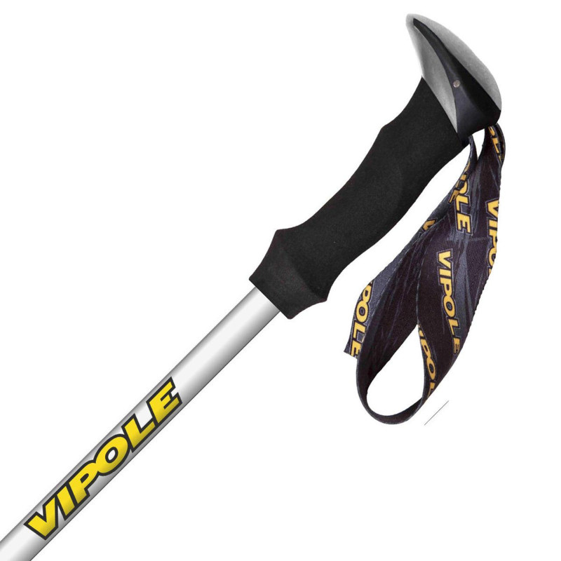 Палки треккинговые Vipole Wilderness AS (S25 19)