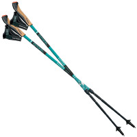 Палки для скандинавской ходьбы Gabel Stretch Lite A.I. Avio (7008352490000)