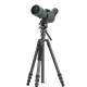 Штатив Vanguard Vesta Go 264CV12 (Vesta Go 264CV12)