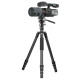 Штатив Vanguard Vesta Go 264CV12 (Vesta Go 264CV12)