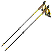 Палки для скандинавской ходьбы Vipole Instructor Vario QL Green DLX (S25 26)