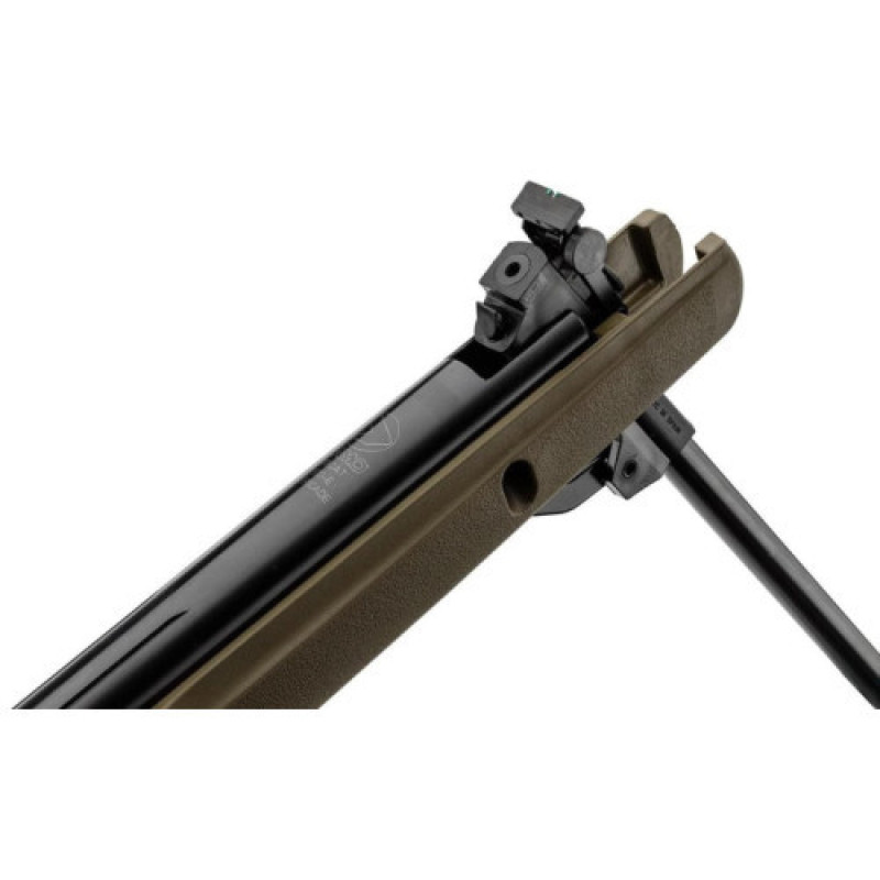 Пневматическая винтовка Gamo Big Cat 1000-E Barricade Combo (4.5мм)