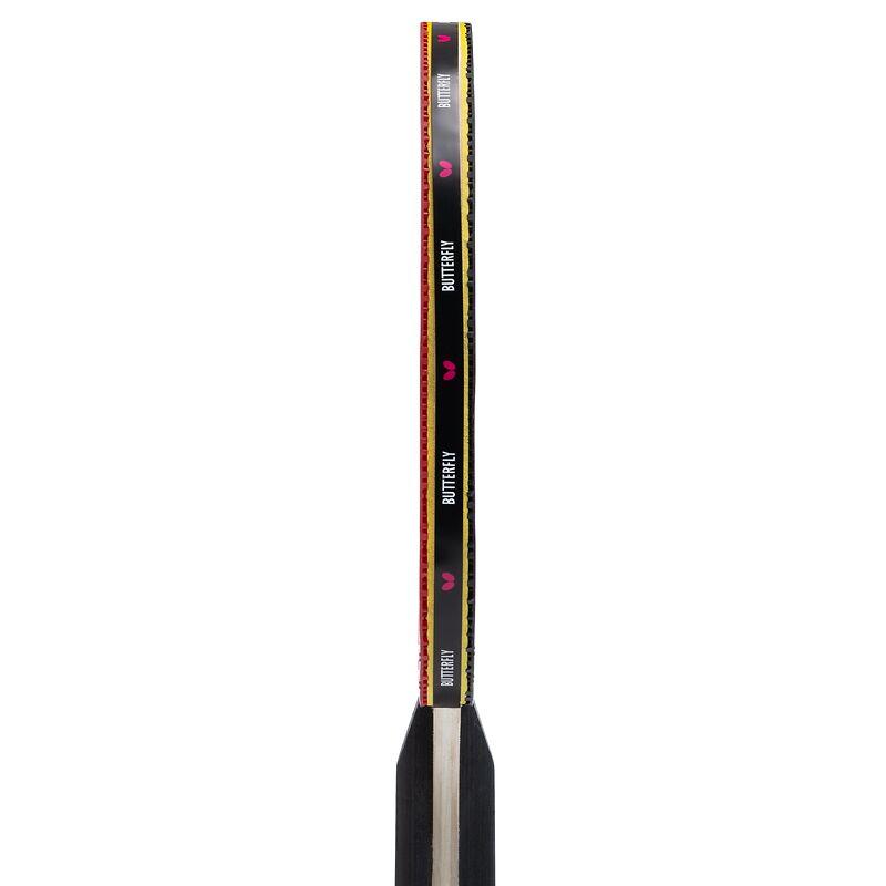 Набор для настольного тенниса Butterfly Racket Set Easy 2 Bats 3 Balls (6257623202)