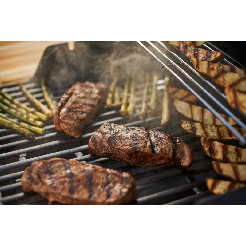 Газовый гриль Weber Spirit E-225 GBS, черный