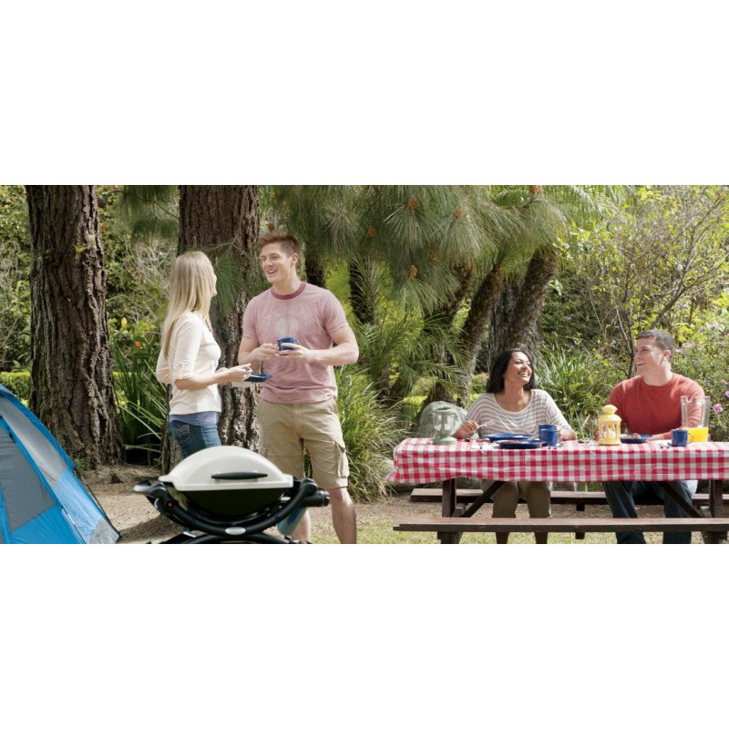 Газовый гриль Weber Q 1000, титановый