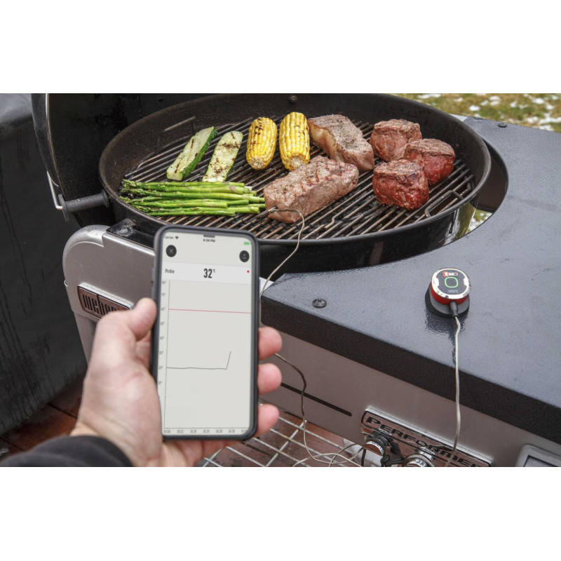 Термометр  Weber iGrill™ mini