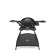 Гриль газовый Weber Q 2200 с подставкой, черный