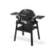Газовый гриль Weber Q1200N с подставкой