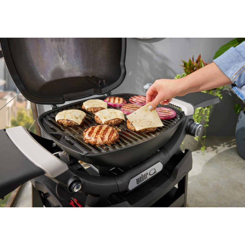 Газовый гриль Weber Q1200N
