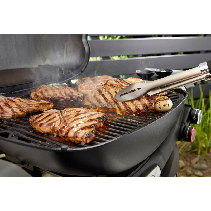 Газовый гриль Weber Q 3200