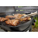 Газовый гриль Weber Q 3200