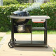 Угольный гриль Weber Performer Premium