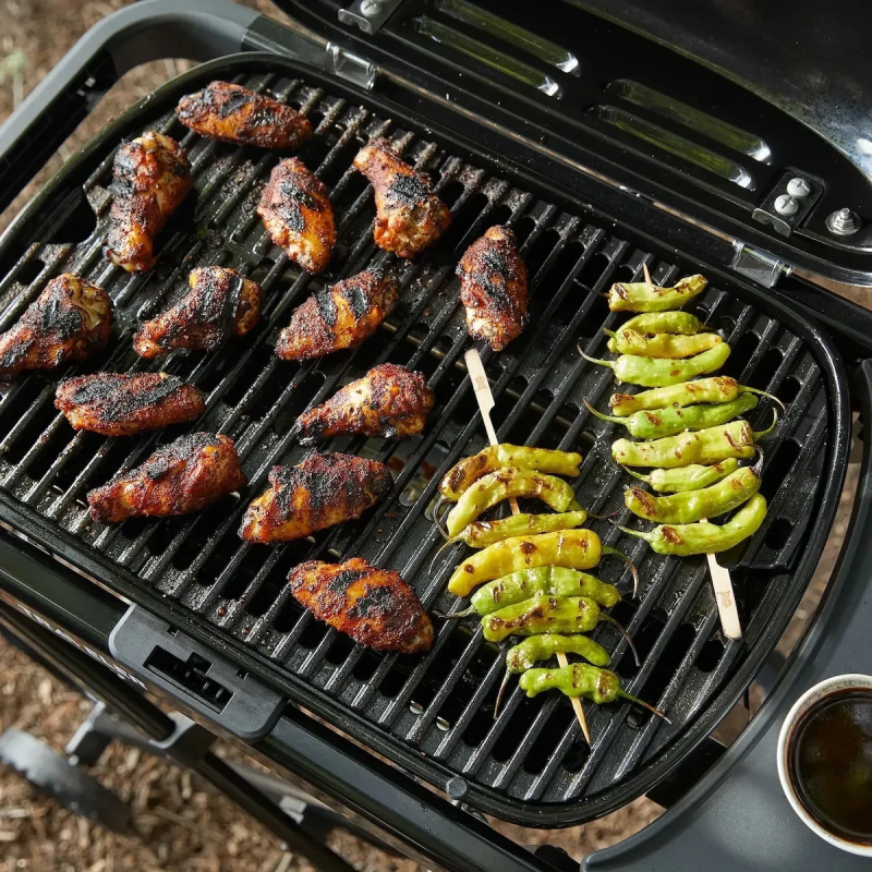 Портативный газовый гриль Weber Traveler Compact